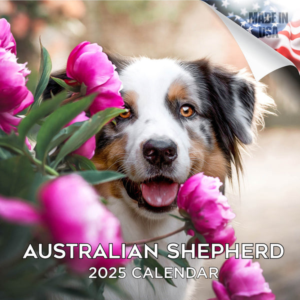 Australian Shepherd Wall Calendar 2025