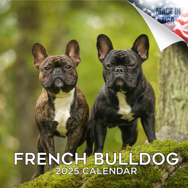 French Bulldog Wall Calendar 2025