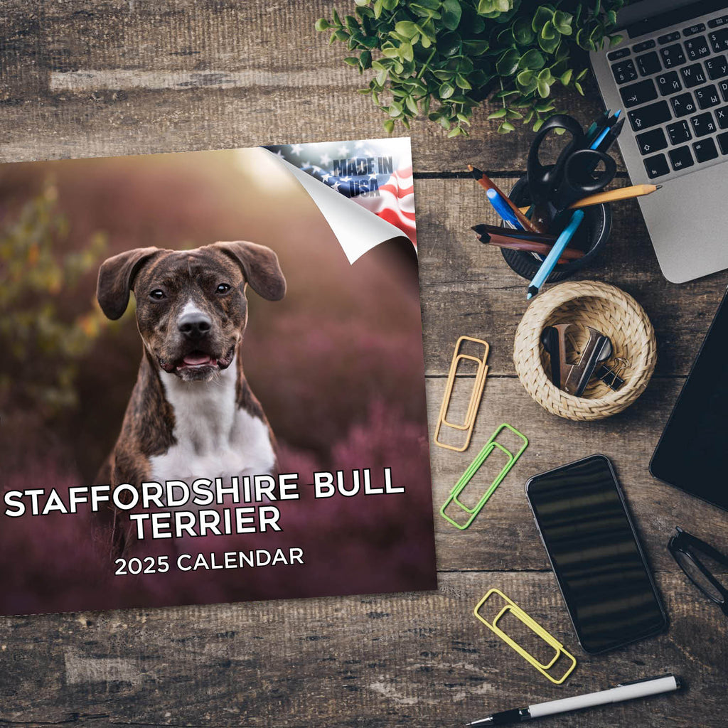 Staffordshire Bull Terrier Wall Calendar 2025