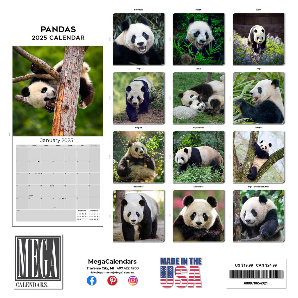 Pandas Wall Calendar 2025
