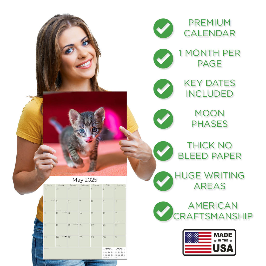 Kittens Wall Calendar 2025