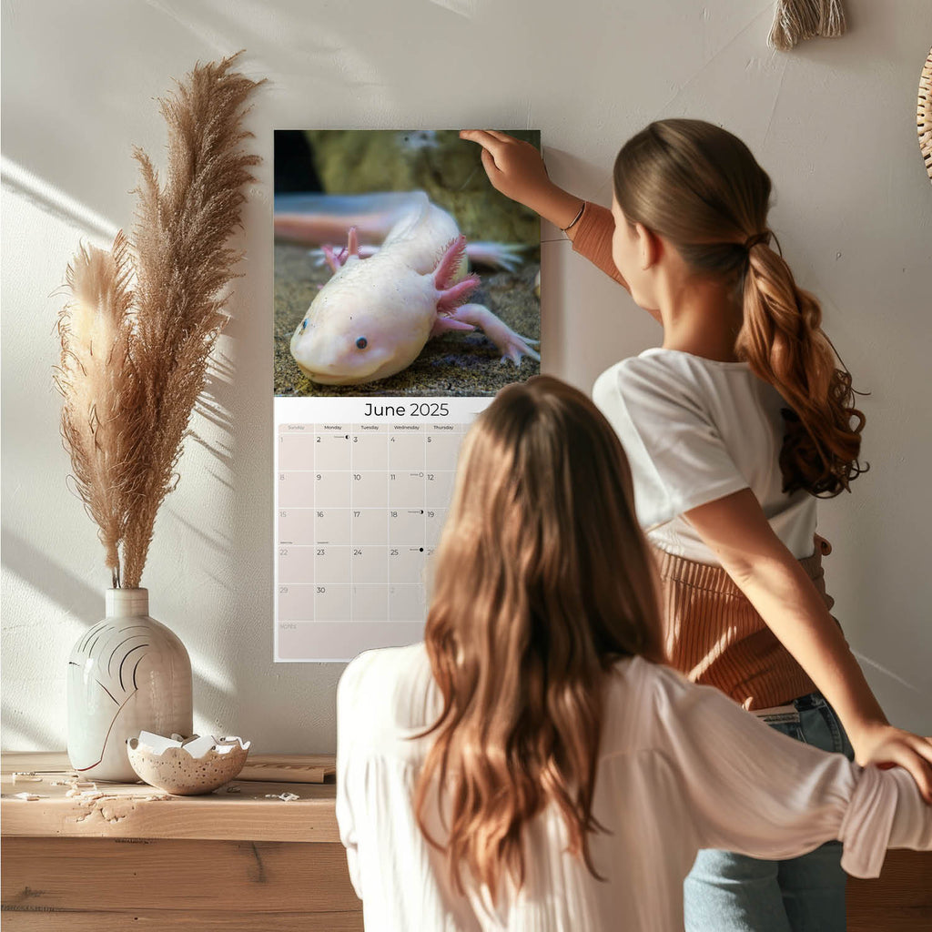 Axolotls Calendar 2025