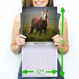 Horses Wall Calendar 2025