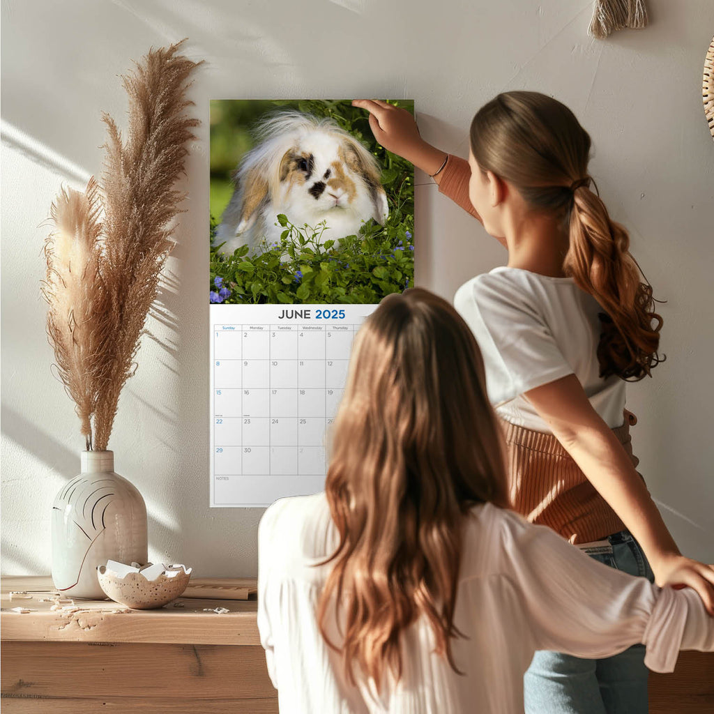 Rabbits Wall Calendar 2025