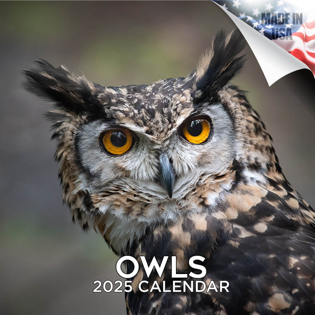 Owls Wall Calendar 2025