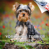 Yorkshire Terrier Puppies Calendar 2025