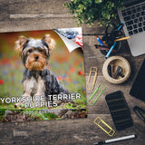 Yorkshire Terrier Puppies Calendar 2025