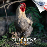 Chickens Wall Calendar 2025