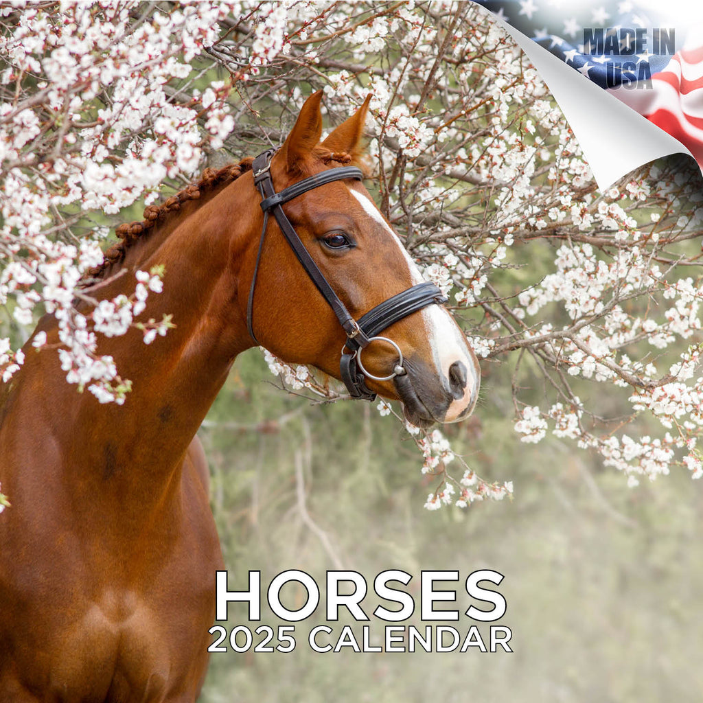Horses Wall Calendar 2025