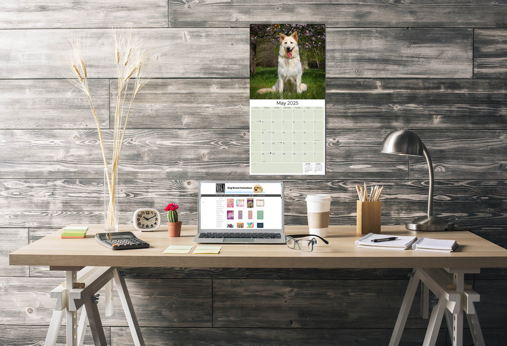 White Shepherd Wall Calendar 2025