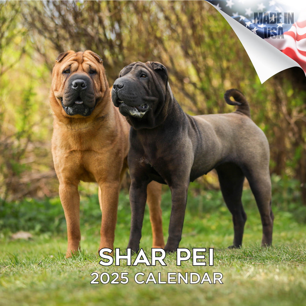 Shar Pei Wall Calendar 2025