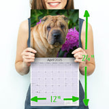 Shar Pei Wall Calendar 2025