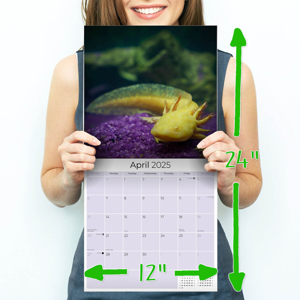 Axolotls Calendar 2025