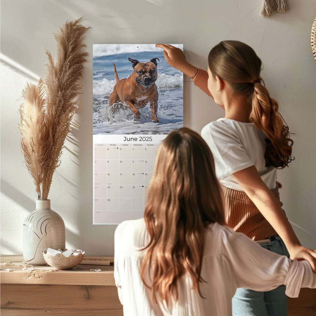 Staffordshire Bull Terrier Wall Calendar 2025