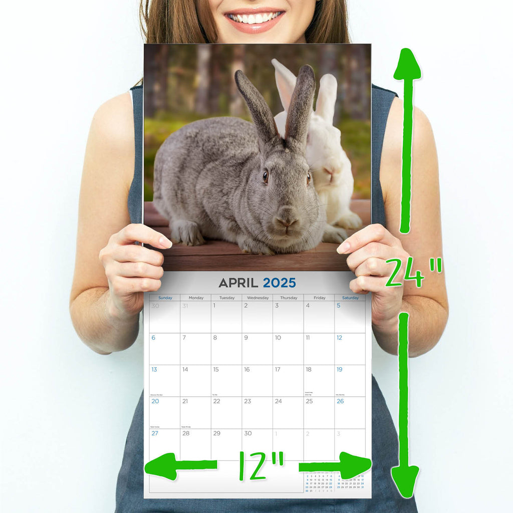 Rabbits Wall Calendar 2025