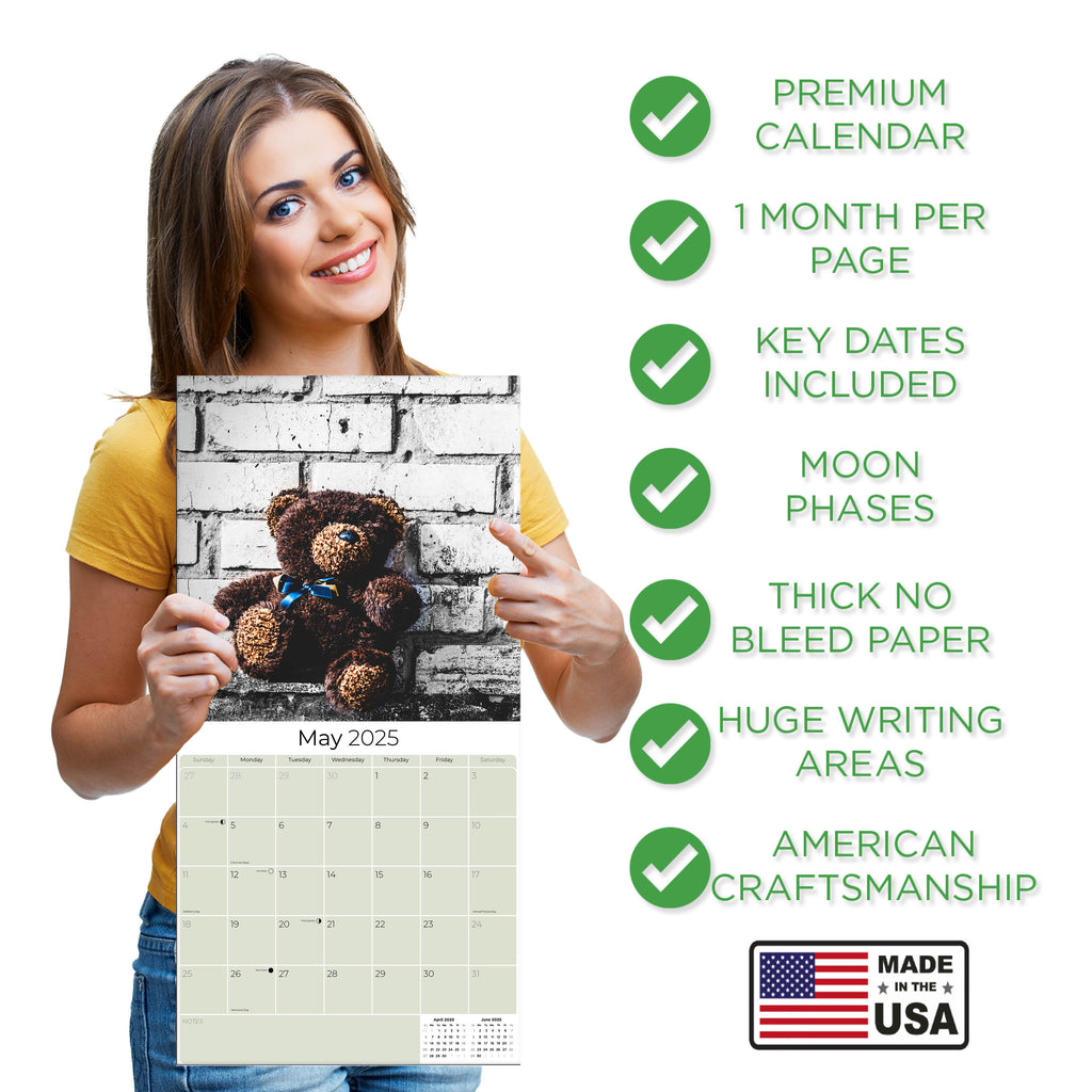 Teddy Bears Wall Calendar 2025