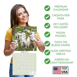 Sheep Wall Calendar 2025