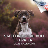 Staffordshire Bull Terrier Wall Calendar 2025