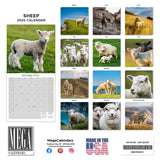 Sheep Wall Calendar 2025