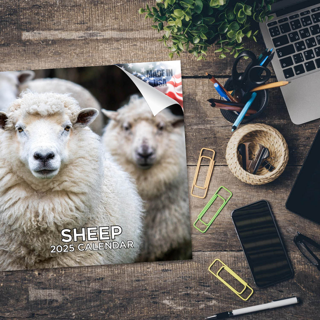 Sheep Wall Calendar 2025