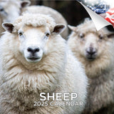 Sheep Wall Calendar 2025