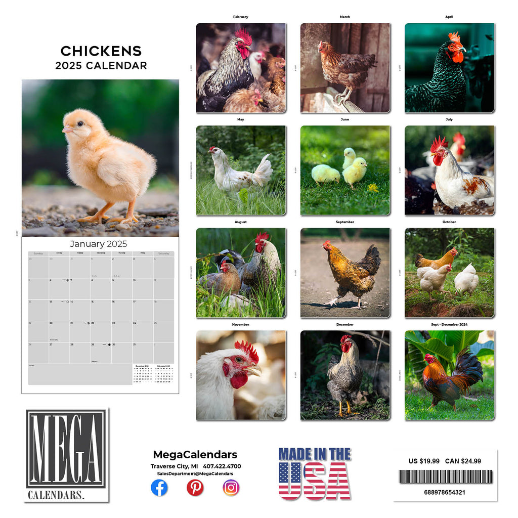 Chickens Wall Calendar 2025
