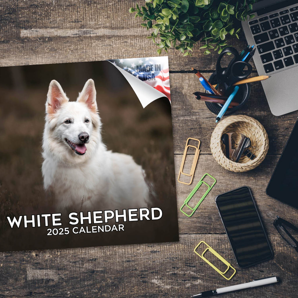 White Shepherd Wall Calendar 2025