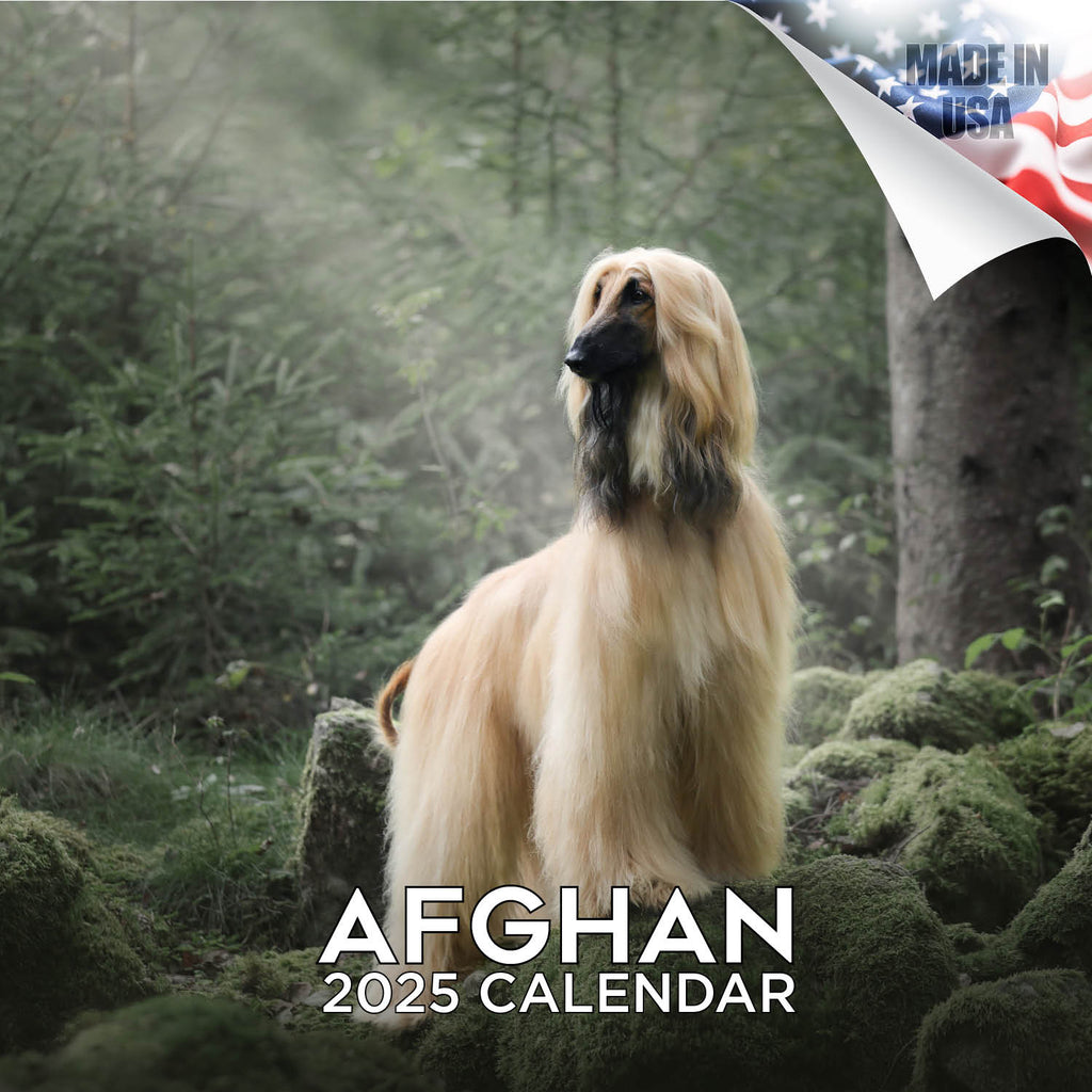 Afghan Calendar 2025
