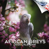 African Greys Wall Calendar 2025