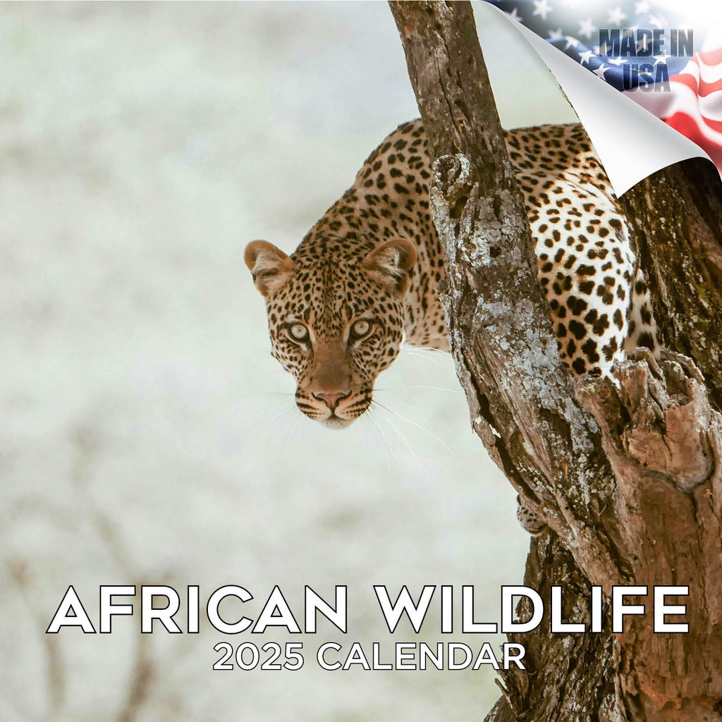 African Wildlife Wall Calendar 2025