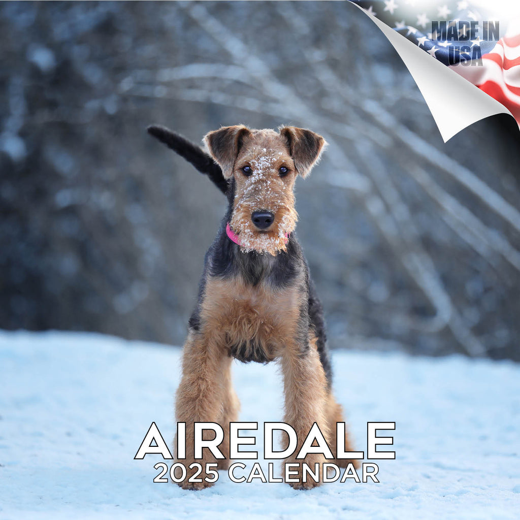 Airedale Wall Calendar 2025