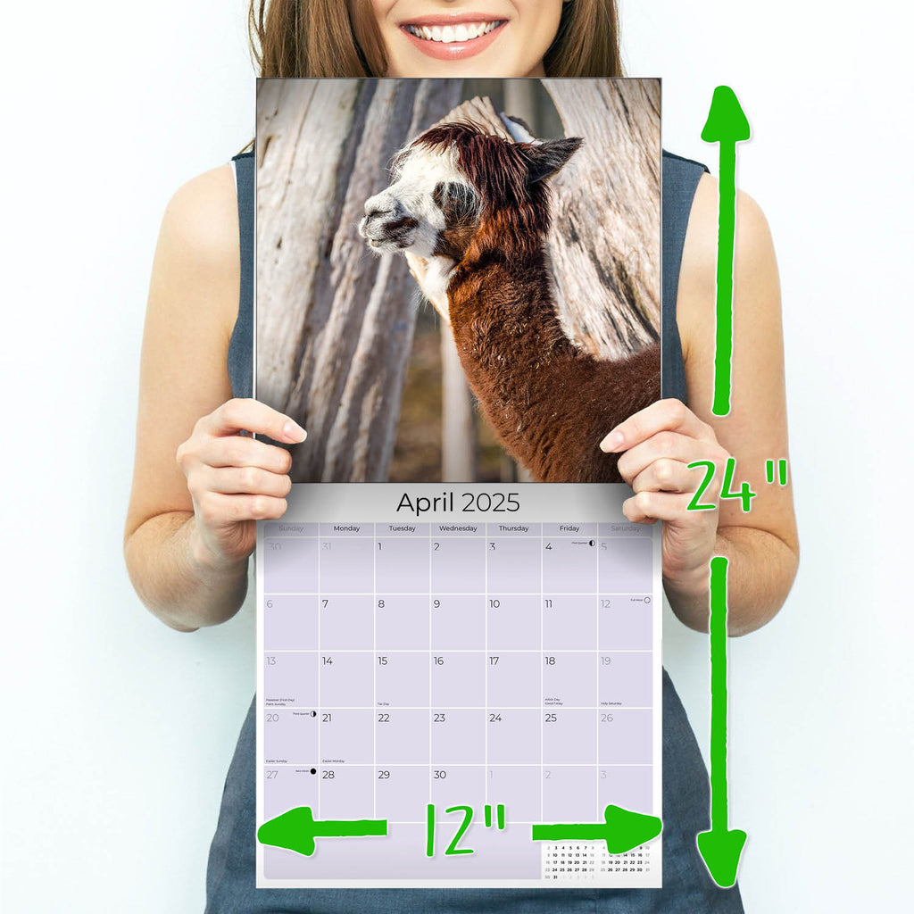 Alpacas Wall Calendar 2025