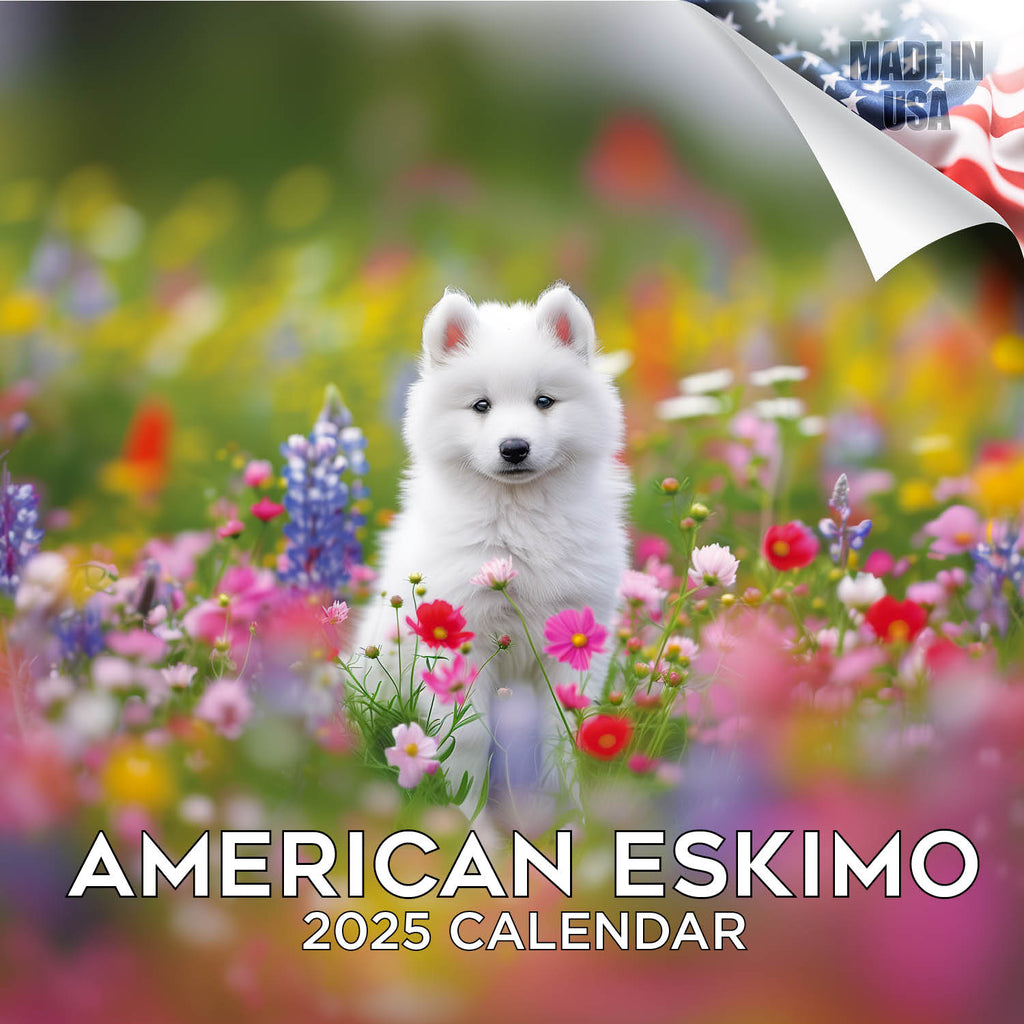 American Eskimo Wall Calendar 2025