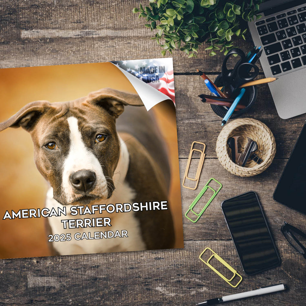 American Staffordshire Calendar 2025