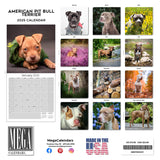 American Pit Bull Terrier Wall Calendar 2025