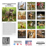 American Staffordshire Calendar 2025