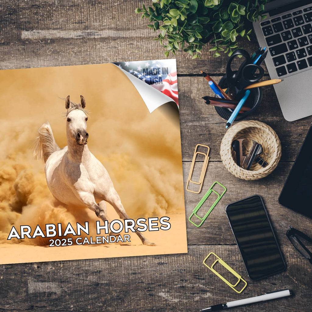 Arabian Horses Wall Calendar 2025