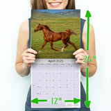 Arabian Horses Wall Calendar 2025