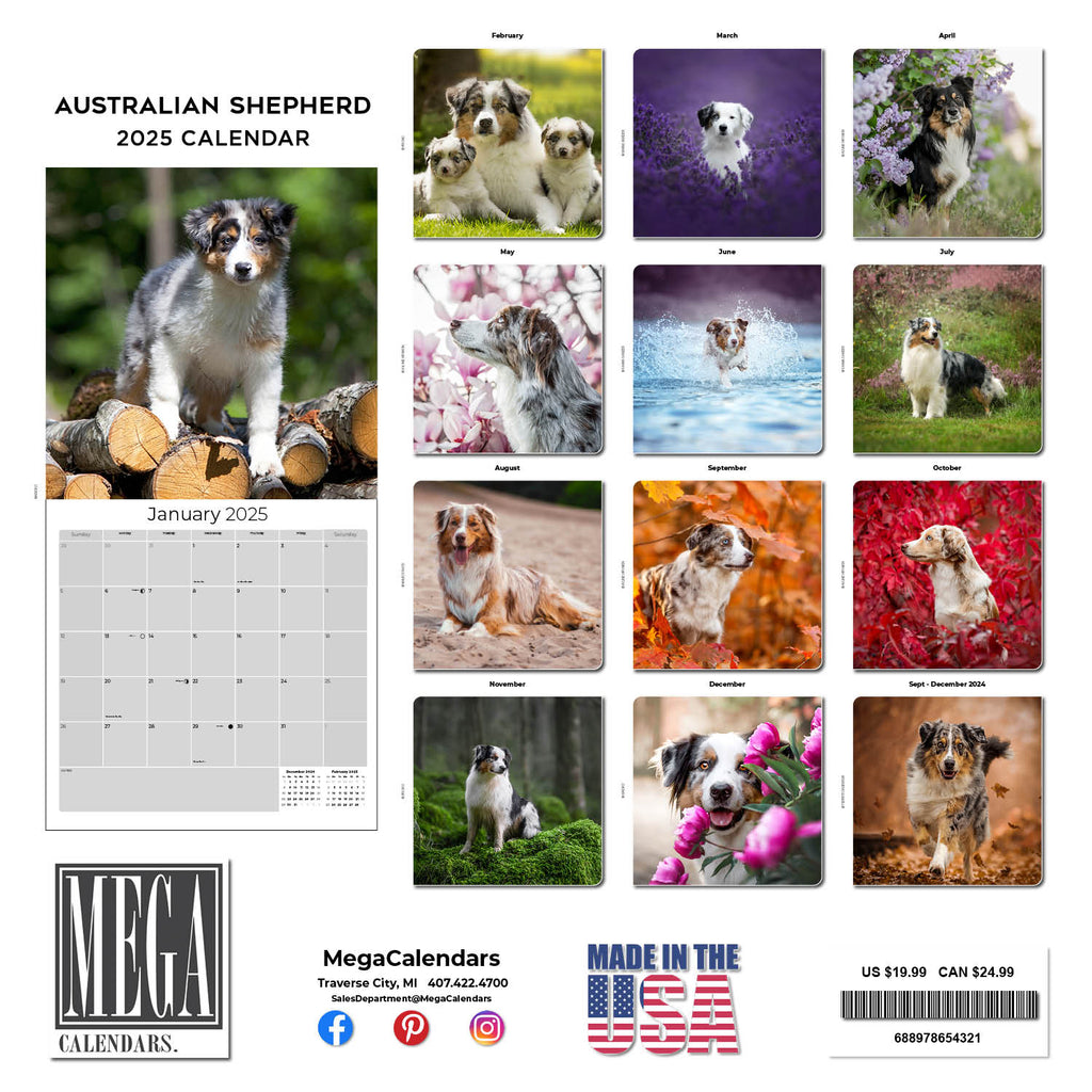 Australian Shepherd Wall Calendar 2025