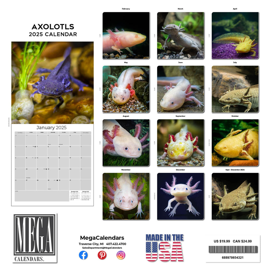 Axolotls Calendar 2025