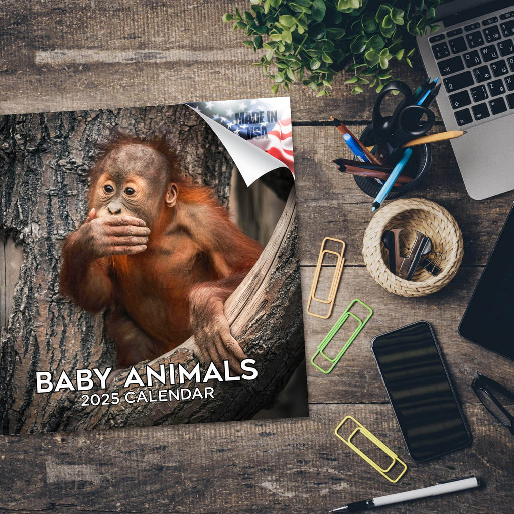 Baby Animals Wall Calendar 2025