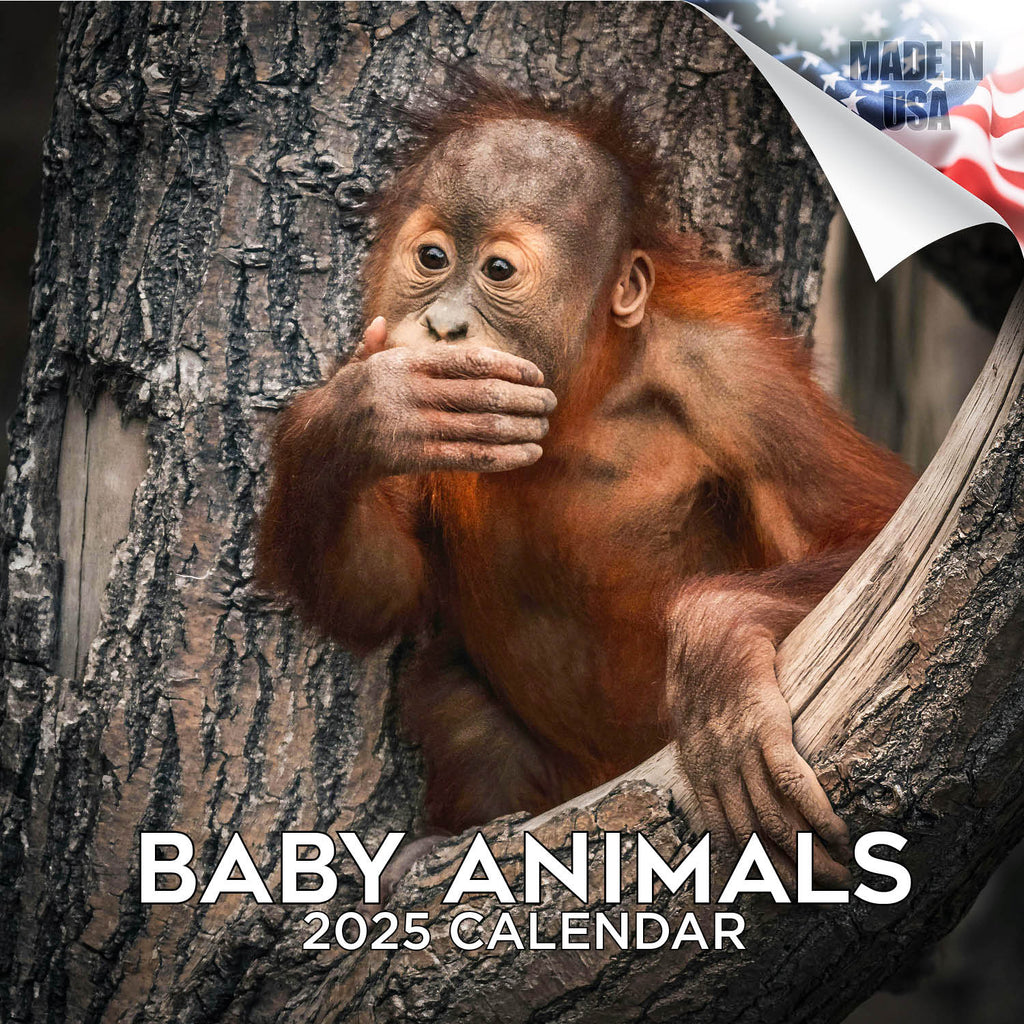 Baby Animals Wall Calendar 2025