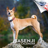 Basenji Wall Calendar 2025