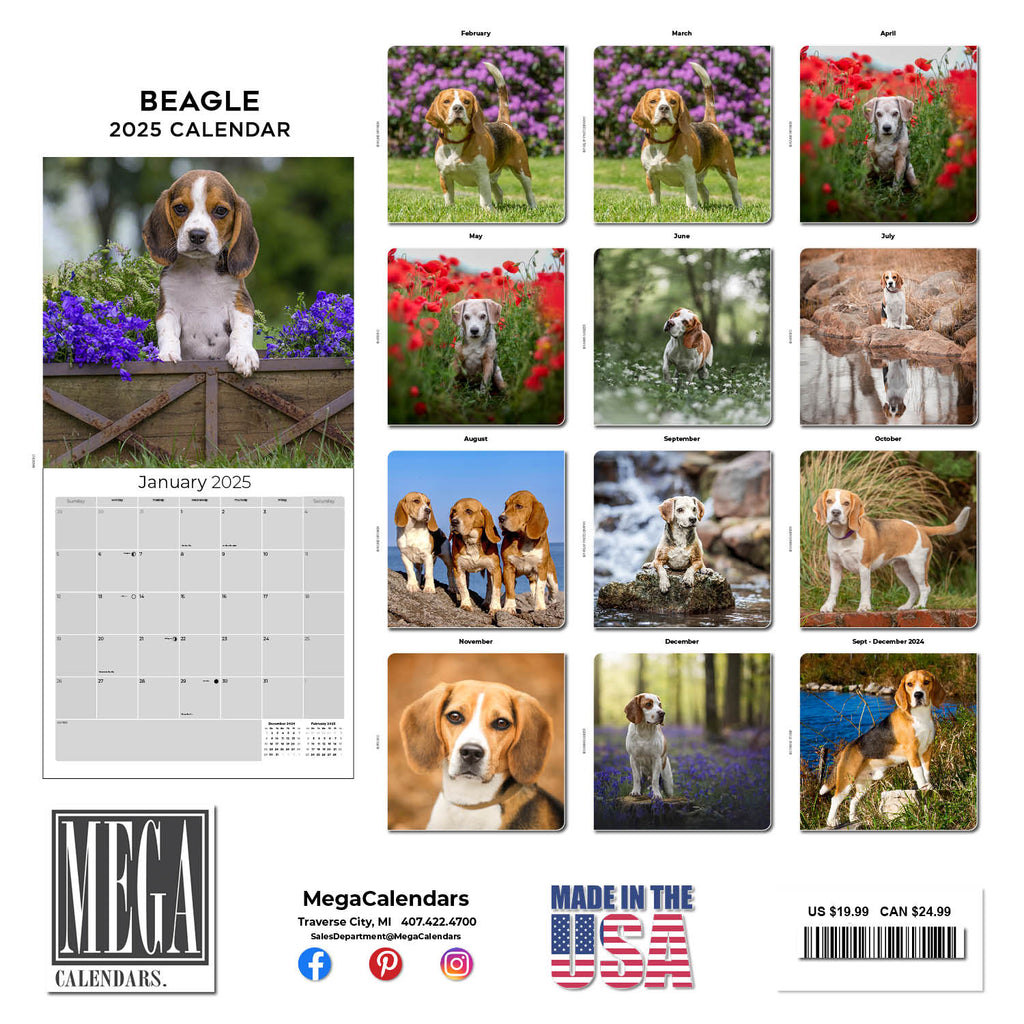 Beagle Wall Calendar 2025