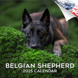 Belgian Shepherd Dog Wall Calendar 2025