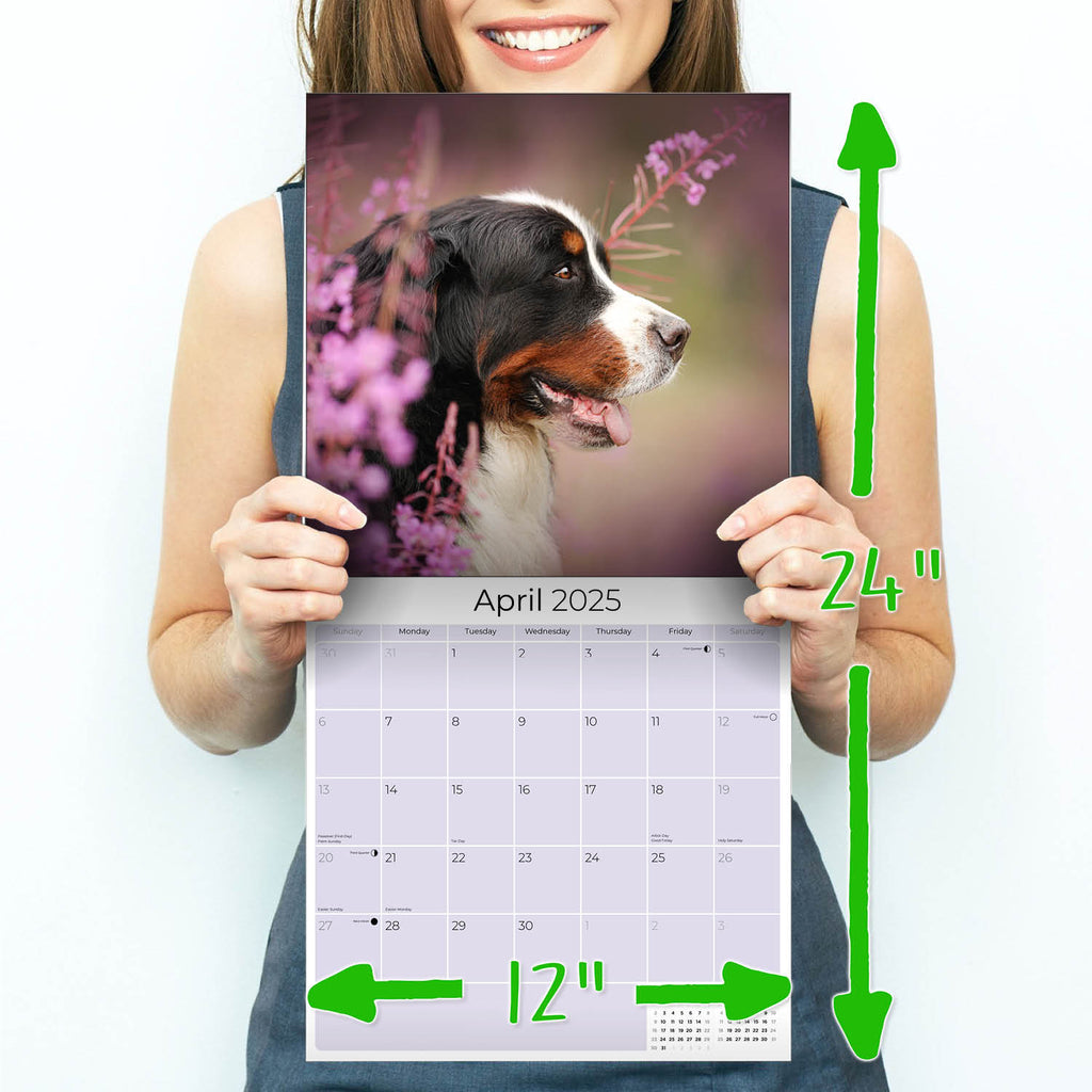 Bernese Mountain Dog Wall Calendar 2025