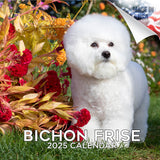 Bichon Frise Wall Calendar 2025