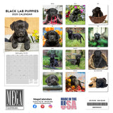Black Labrador Puppies Wall Calendar 2025
