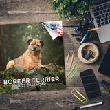Border Terrier Wall Calendar 2025