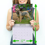 Border Terrier Wall Calendar 2025